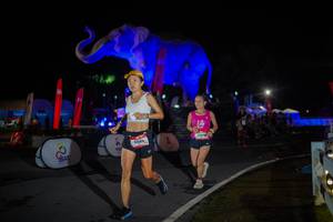 BIB: 
                            <button type="button" onclick="openModal(26551931)" class="btn btn-primary btn-sm float-right btn-popup" data-toggle="modal" data-target=".modal-high-quality">
                        <i class="fas fa-shopping-cart"></i> Add to Cart
                    </button>
                                            <button type="button" onclick="isThisMe(26551931, true)" class="btn btn-success btn-sm float-right btn-popup btn-isme hidden" data-toggle="tooltip" data-placement="bottom" title="นี่คือรูปของคุณใช่ไหม คลิกที่นี่เพื่อเอาเข้าอัลบั้ม">
                        <i class="fas fa-plus"></i> Add to album
                    </button>
                    <button type="button" onclick="isThisMe(26551931, false)" class="btn btn-warning btn-sm float-right btn-popup btn-isnotme hidden">
                        <i class="fas fa-ban"></i> Remove from album
                    </button>